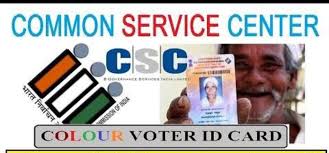 voter id